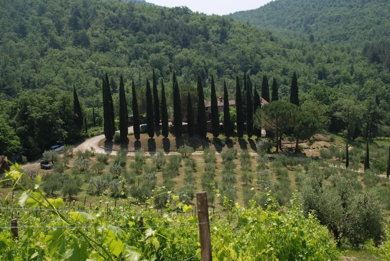 Setriolo Villa Castellina in Chianti Italy